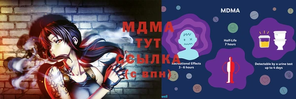стафф Алексин