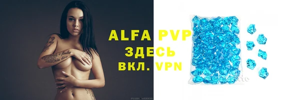 стафф Алексин