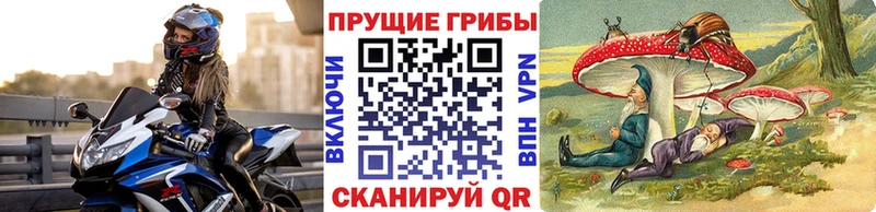 Псилоцибиновые грибы Psilocybe  купить наркотик  Советская Гавань 